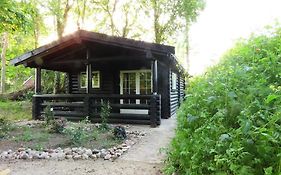 Knusse En Gezellige Blokhut De Bijenstal
