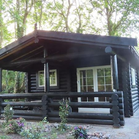 Knusse En Gezellige Blokhut De Bijenstal Villa Dedemsvaart Buitenkant foto