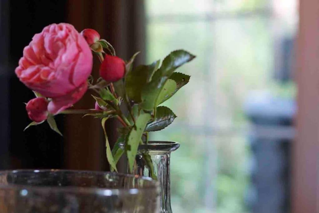 Knusse En Gezellige Blokhut De Bijenstal Villa Dedemsvaart Buitenkant foto